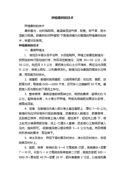 种植桑树的技术