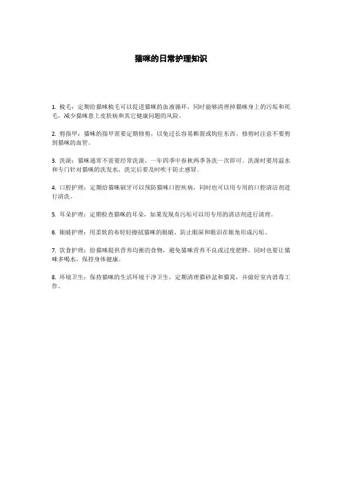 猫咪的日常护理知识