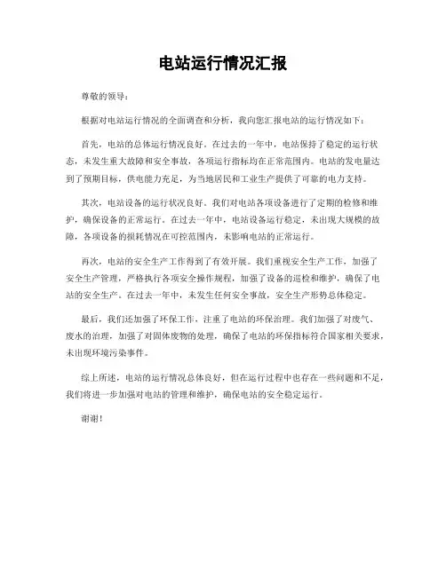 电站运行情况汇报