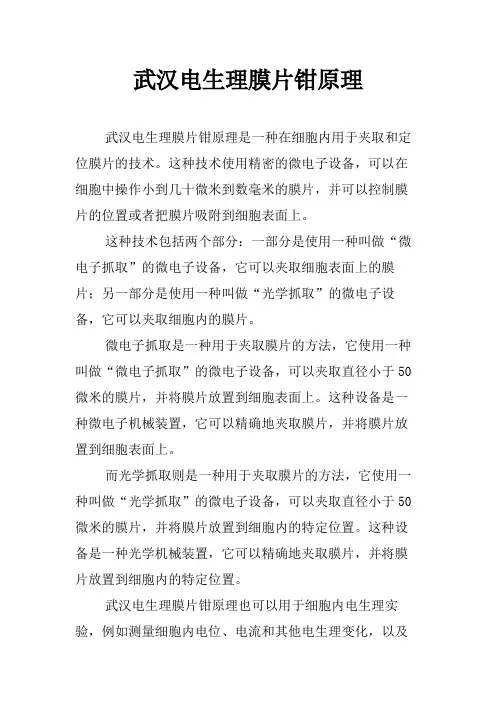 武汉电生理膜片钳原理