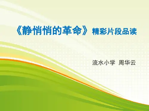 《静悄悄的革命》分享ppt