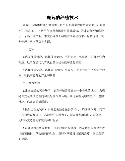 鹿茸的养殖技术
