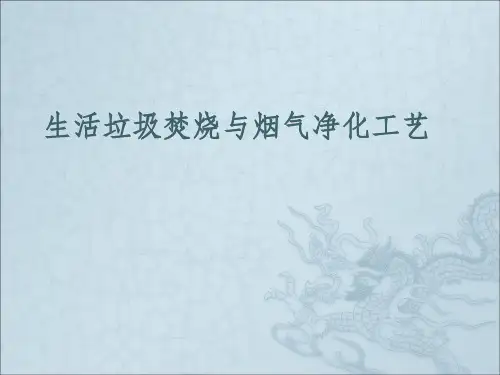 垃圾焚烧烟气净化工艺ppt课件