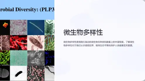 《微生物多样性》课件