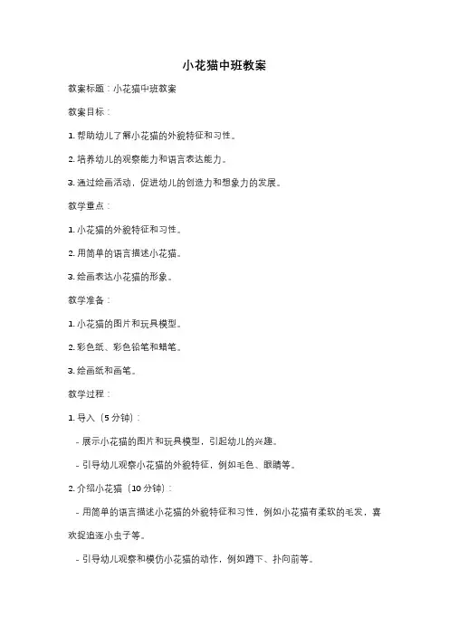 小花猫中班教案