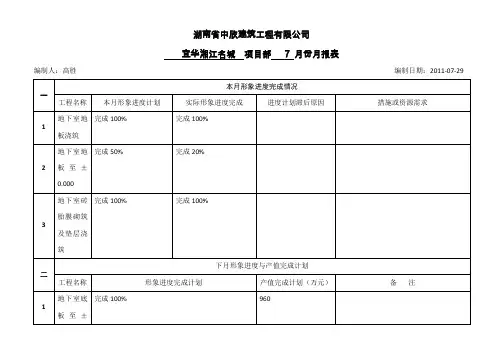 工程项目月报表模板