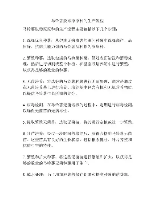 马铃薯脱毒原原种的生产流程