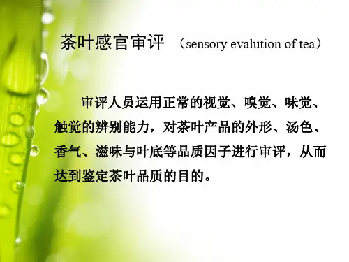 茶叶感官审评讲解ppt课件