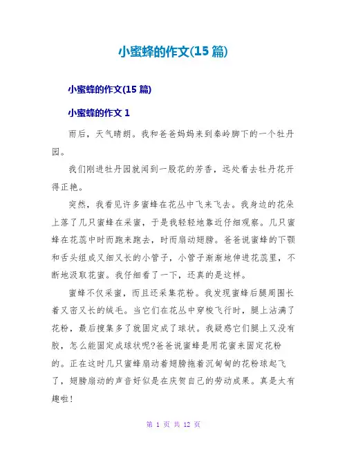 小蜜蜂的作文(15篇)