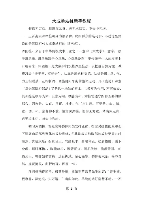 大成拳站桩新手教程