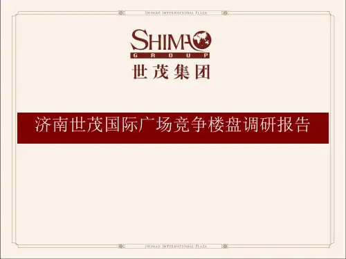 房地产市调报告