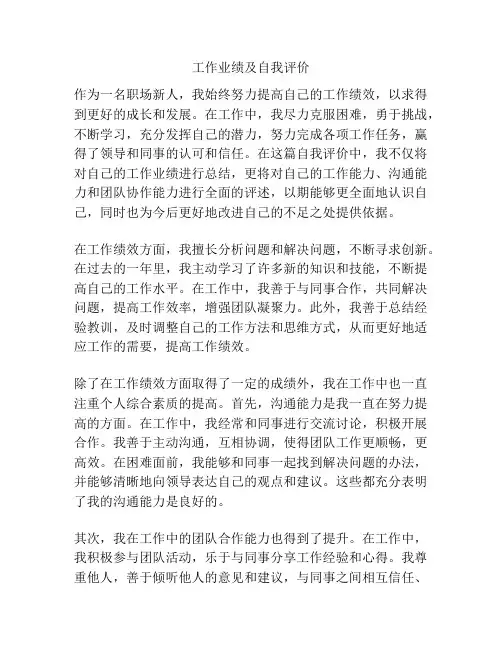 工作业绩及自我评价