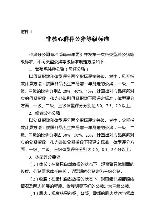 非核心群种公猪等级标准