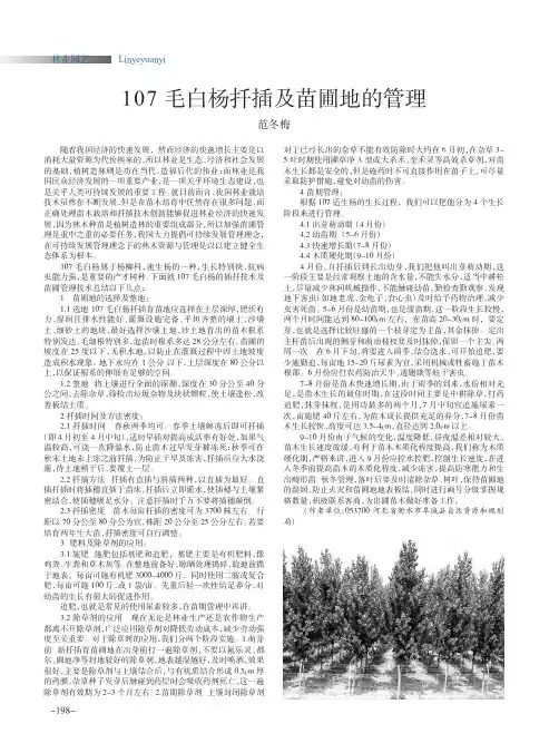 107毛白杨扦插及苗圃地的管理