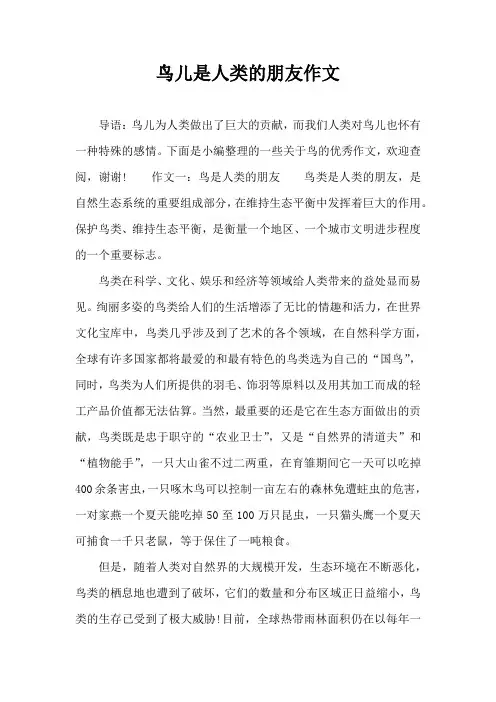 鸟儿是人类的朋友作文