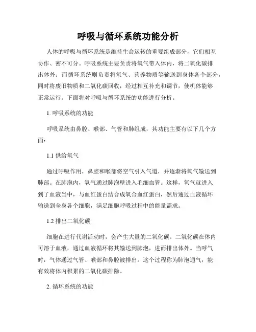呼吸与循环系统功能分析