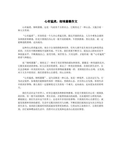 心有猛虎,细嗅蔷薇作文