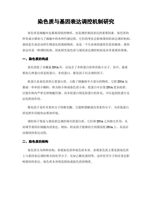 染色质与基因表达调控机制研究