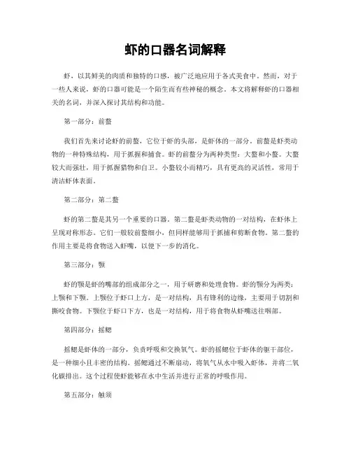 虾的口器名词解释