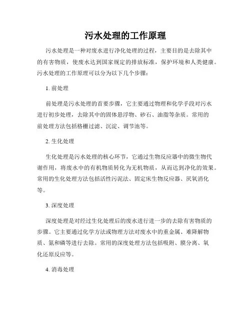 污水处理的工作原理