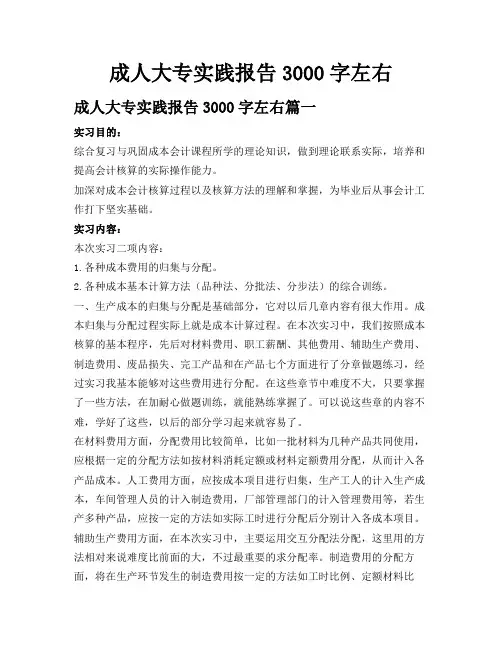 成人大专实践报告3000字左右