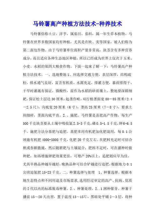 马铃薯高产种植方法技术 - 种养技术