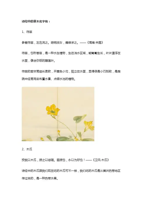 诗经中的草木名字