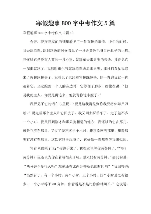 寒假趣事800字中考作文5篇