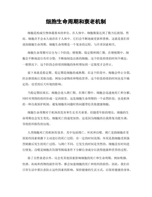 细胞生命周期和衰老机制