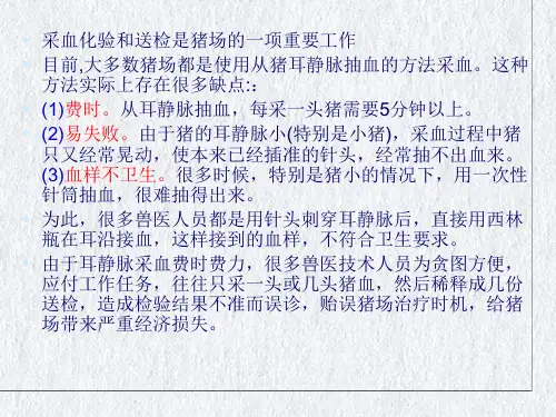 猪的采血技术课件PPT