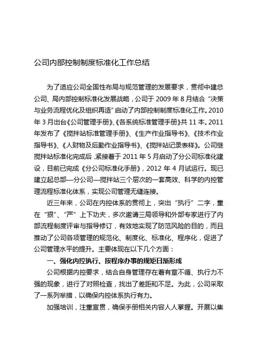 公司内部控制制度建设及执行的效率和效果工作总结