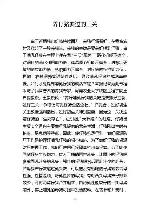 养仔猪要过的三关