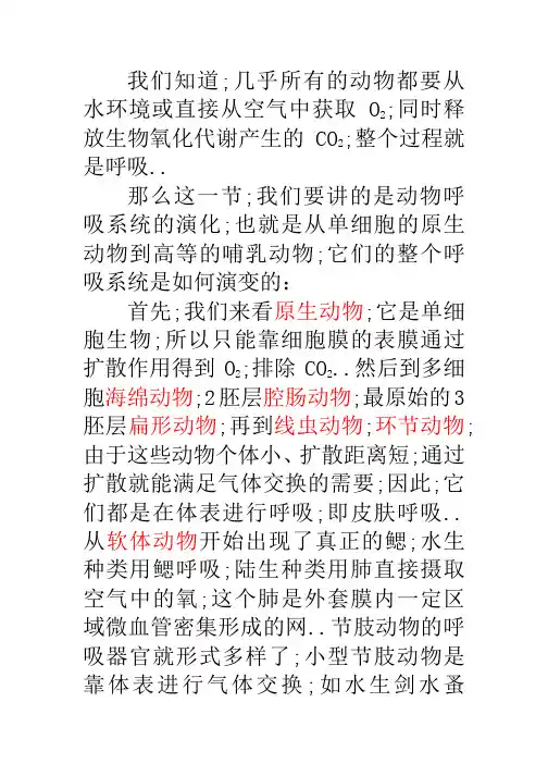 动物呼吸系统的演化