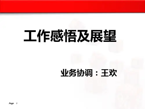 工作感悟与展望完整版.ppt