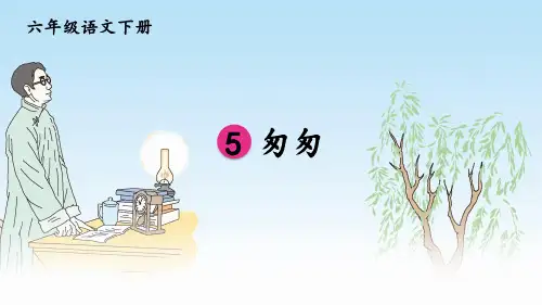 第5课《匆匆》课件-2023—2024学年统编版(五四学制)语文六年级下册