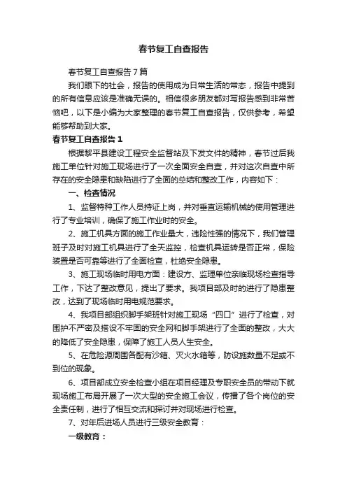 春节复工自查报告