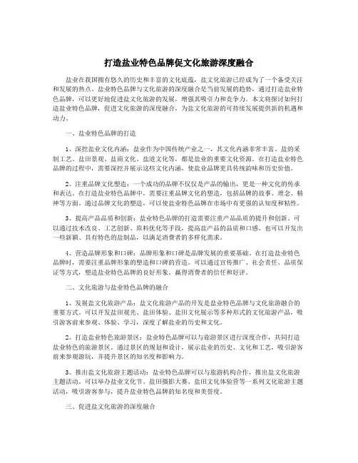 打造盐业特色品牌促文化旅游深度融合