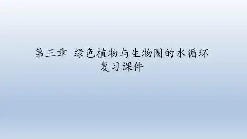 鲁科版(五四学制)生物六年级下册：第三章 绿色植物与生物圈的水循环  复习课件(共26张PPT)