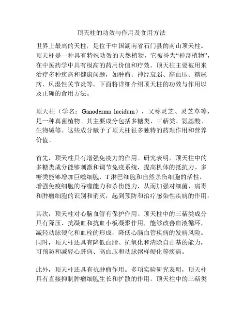 顶天柱的功效与作用及食用方法