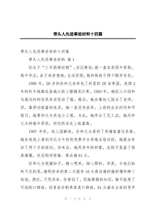 带头人先进事迹材料十四篇