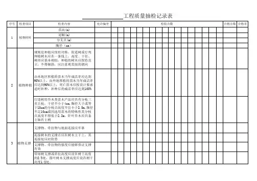 现场抽检记录表11
