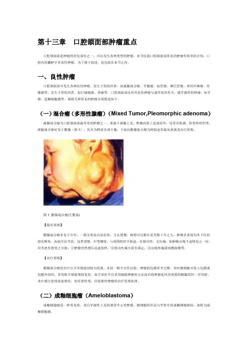 13.口腔颌面部肿瘤重点