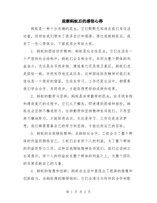 观察蚂蚁后的感悟心得