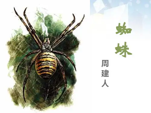 《蜘蛛》 图文