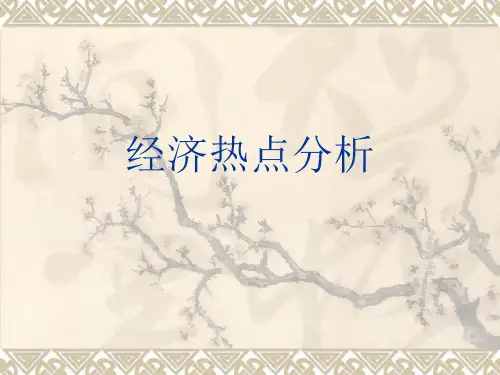 经济热点分析ppt课件