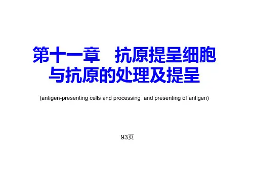第11章   抗原提呈细胞与抗原的处理及提呈-2学时
