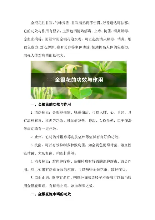 金银花的功效与作用,金银花泡水喝的功效