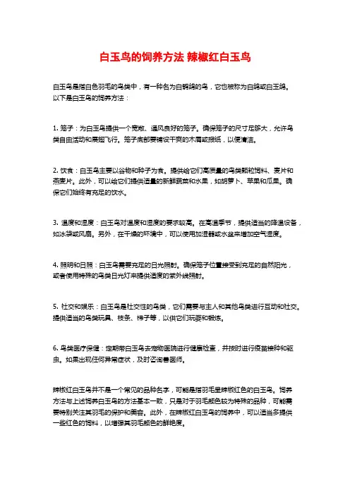 白玉鸟的饲养方法 辣椒红白玉鸟