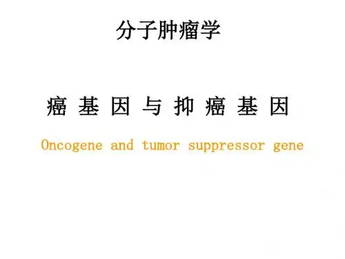 分子肿瘤学3癌基因与抑癌基因
