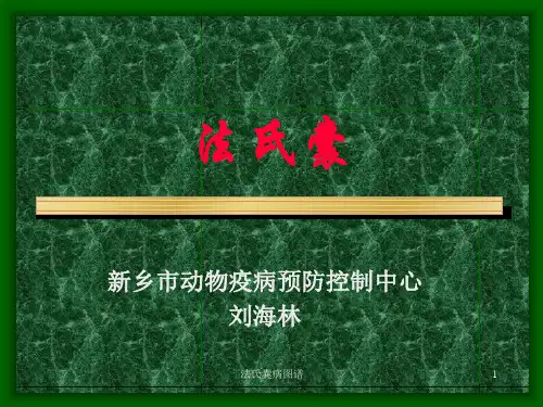 法氏囊病图谱课件